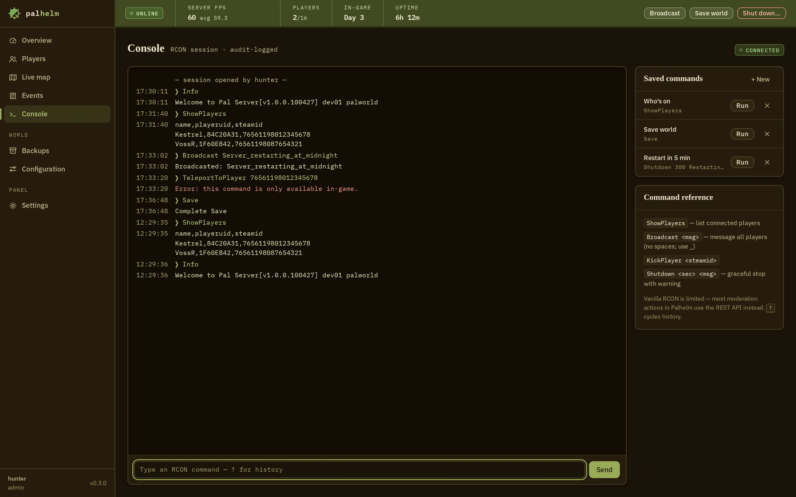The remote console screen: a scrolling command log, an input line, saved commands, and inline notes about the limits of the game's console.